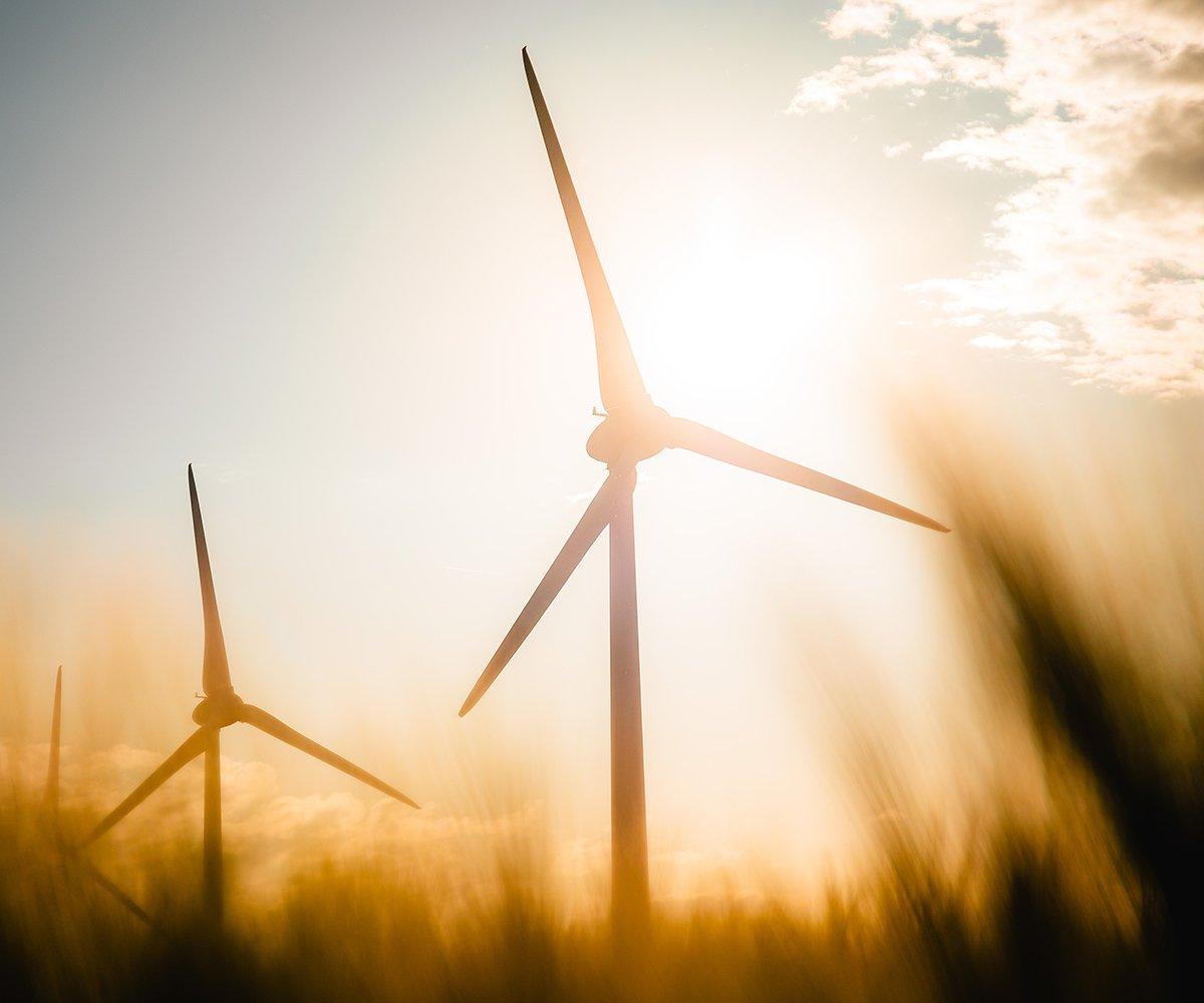 Windmills in the sunlight
