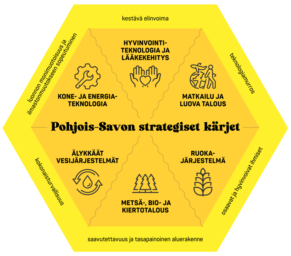 Pohjois-Savon strategiset kärjet
